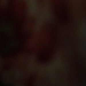 Meet your Posher, Audrey